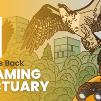 The episode artwork for Bring Birds Back: The Streaming Sanctuary