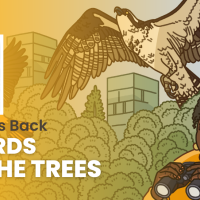 Episode promotional graphic for Bring Birds Back: "The Birds and the Trees"