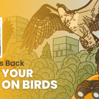 The episode artwork for Bring Birds Back: This is Your Brain on Birds