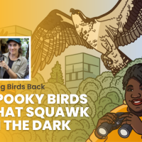 Episode promotional graphic for Bring Birds Back: "Spooky Birds" featuring the podcast artwork and headshot of guest, Kaeli Swift