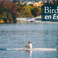 A view of Lake Merrit, with a man rowing across the water in the foreground, and trees and buildings reflecting on the water from the shore. "BirdNote en Español" appears in the upper right corner.