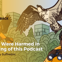 Artwork for episode 3 Bring Birds Back, featuring a photo of Tony Suffredini and an illustration of Tenijah Hamilton