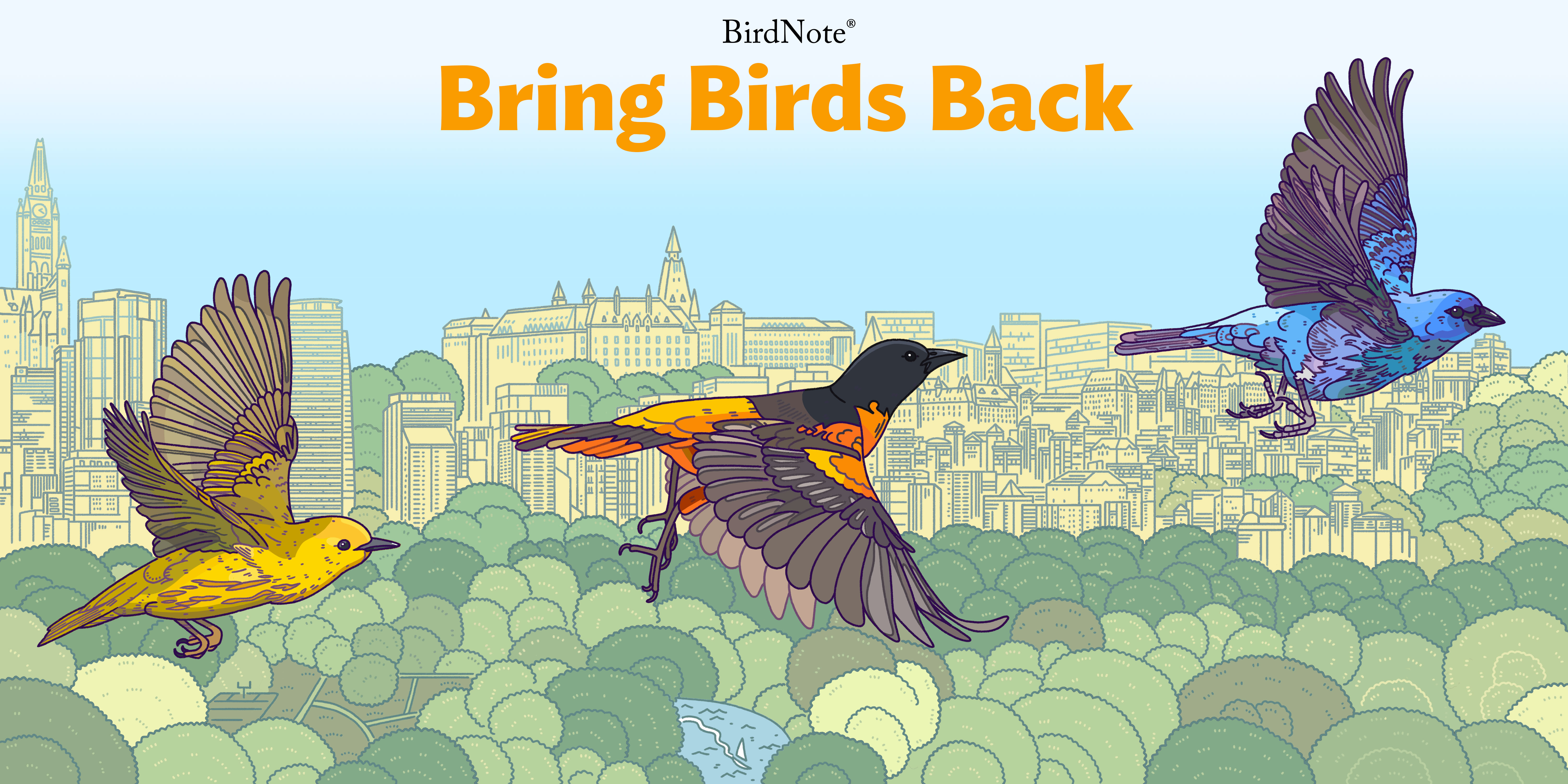 A graphic with the Bring Birds Back artwork. A Warbler, Robin, and Indigo Bunting are depicted. The text reads "Bring Birds Back"