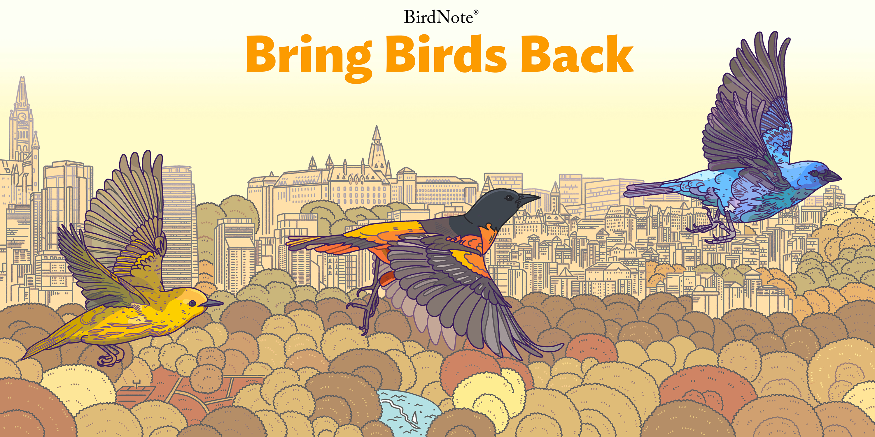 A graphic with the Bring Birds Back artwork. A Warlber, Robin, and Indigo Bunting are depicted. The text reads "Bring Birds Back"