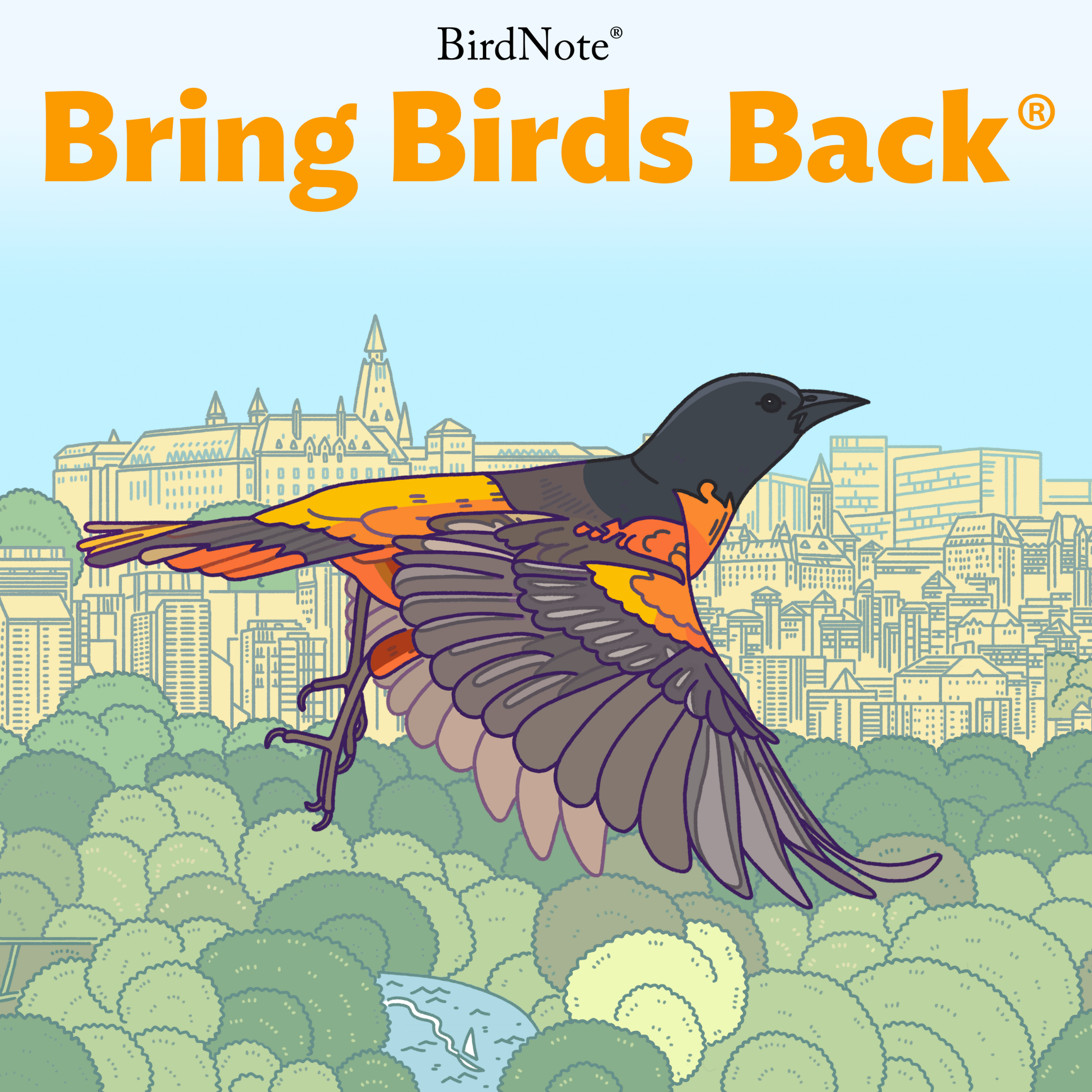 Bring Birds Back cover art