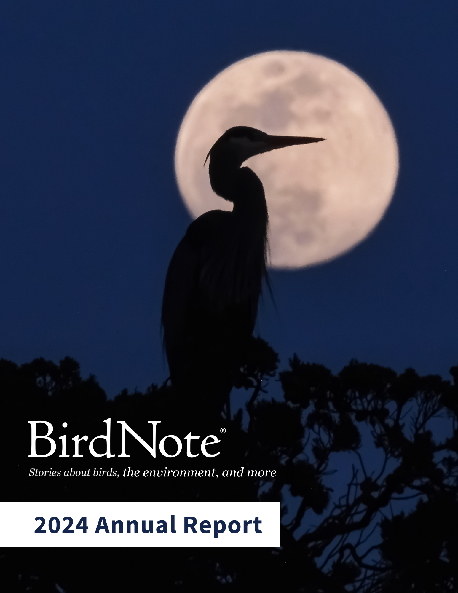 2024 Annual Report cover page featuring a heron's silhouette in front of a full moon.