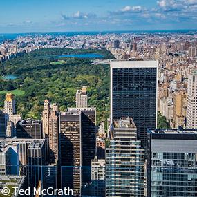 Central Park in New York City