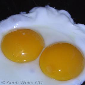 A double-yolked egg in frying pan