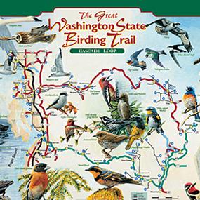 WA Birding Trail