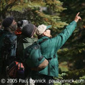 Birdwatchers