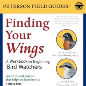 Burton Guttman's Finding Your Wings