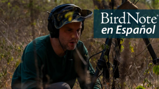 Juan Pablo Culasso kneels to work on a tripod with recording equipment in the field