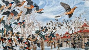 Passenger Pigeon mural in Cincinnati, Ohio