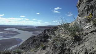 Arctic National Wildlife Refuge