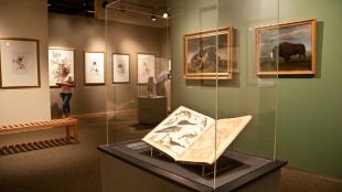 John J. Audubon's printed material on display in a clear case at Longmont Museum.