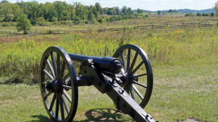 A civil-war era cannon in front of a lush green field.
