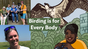 A graphic with the Bring Birds Back artwork on the right side, a group photo of Tenijah with a birding group in the top-left corner, and a photo of Freya McGregor in the bottom-left corner.