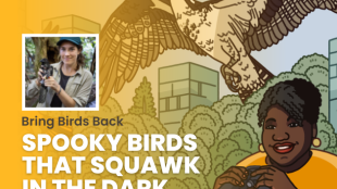 Episode promotional graphic for Bring Birds Back: "Spooky Birds" featuring the podcast artwork and headshot of guest, Kaeli Swift