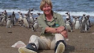 Dee with Magellanic Penguins