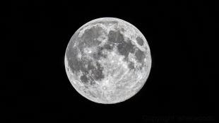 La luna llena contra un cielo negro