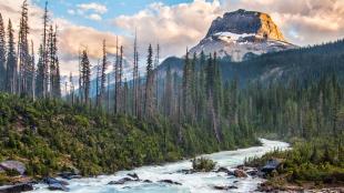 Yoho National Park at Sunrise