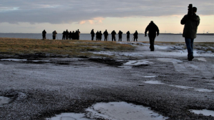 About a dozen photographers line up on a beach at sunrise to capture photos of birds