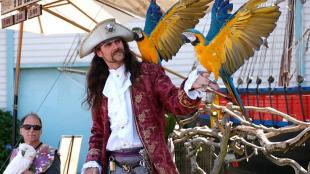 Pirate actor with Blue and Yellow Macaws