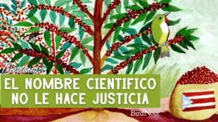 The Threatened en Español artwork for "El nombre científico no le hace justicia"