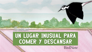 "Un Lugar Inusual Para Comer y Descansar"