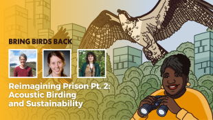 Episode promotional graphic for Bring Birds Back: Reimagining Prison Pt. 2: Rehabilitating Butterflies and Minds featuring the podcast artwork and headshot of guests, Mary Linders, Kelli Bush, and Ray Dunning from left to right.