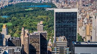 Central Park in New York City