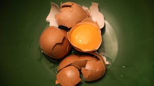 Broken eggs and eggshells