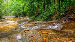 A slow, burbeling brook