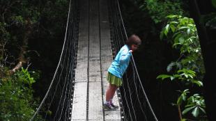 Girl on suspension bridge