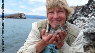 Dee with Penguin chicks