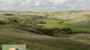 Grasslands of Saskatchewan