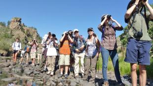 Kids at ABA Birding Camp