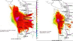 Two maps showing bird migration at night