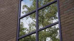 Window reflecting trees and sky