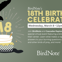 A graphic describing upcoming virtual bird event with Cascades Raptor Center on March 8 at 12 pm PT