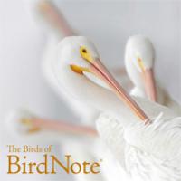 2019 BirdNote Calendar
