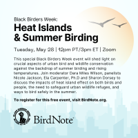 Black Birders Week