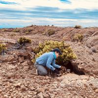 Wildlife biologist Charlotte Forbes Perry kneels at the entrance to a petrel nest inside one of the lava tubes in the lava fields of Mauna Loa