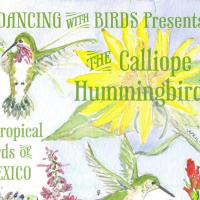 Dancing with Birds poster