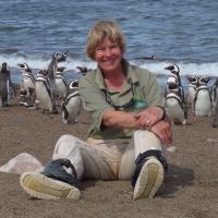 Dee with Magellanic Penguins