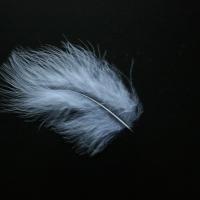 A small white downy feather against a black background