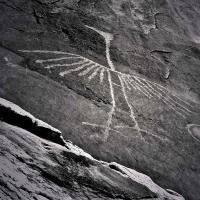 Petroglyph of a heron