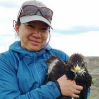 Janet Ng, wearing gray baseball cap and blue jacket, holds an immature Golden Eagle in her arms