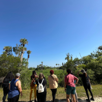 Small group of people stand in gravel looking toward marshland for birds