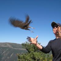 Bird Note founder Chris Peterson releases a bird